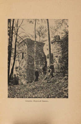 Девель Н.М. Царицыно. СПб.: Типография А.С. Суворина, 1910.